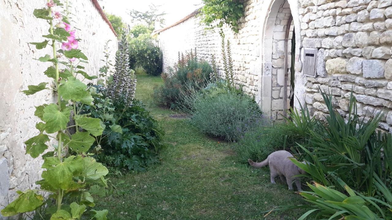 Les Jardins De Clerjotte Bed & Breakfast Saint-Martin-de-Ré Екстериор снимка